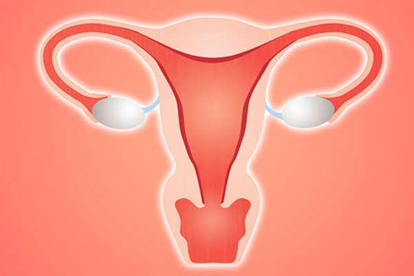 新芜区格鲁吉亚试管婴儿助孕知识_女性子宫畸形可以做试管婴儿吗？子宫畸形