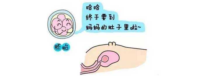 辽宁柬埔寨试管助孕机构_辽宁宝林试管助孕集团_试管婴儿移植时，到底放几个