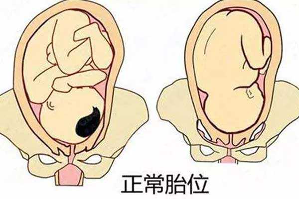 中国助孕网[紫朵朵金贝哪个更正规]+一张美国试管婴儿时间表 规划赴美前后行