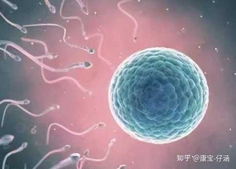 广州一医院推阳康体检套餐官方回应,通俗易懂的三代试管婴儿解说，及三代试